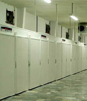 کارخانجات جوجه کشي