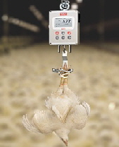 ترازوي هوشمند